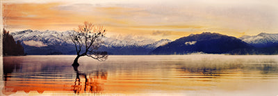 Canvas or Paper Print of Wanaka’s Lone Willow Tree (New Zealand)