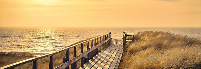 Canvas or Paper Print of Broad Walk to Beach No.1