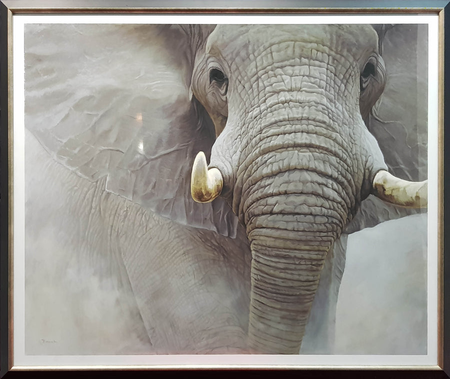 Framed Print of The Power of One Elephant