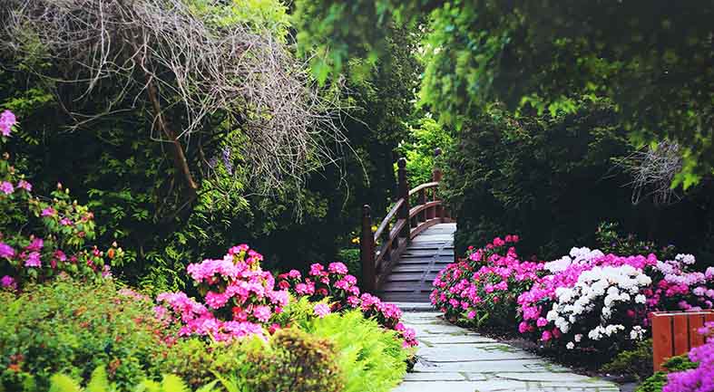 Canvas or Paper Print of Spring Pathway No.4