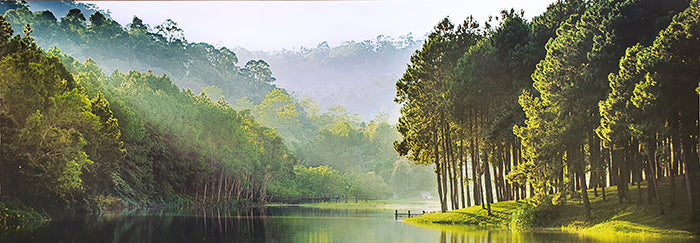 Canvas or Paper Print of Forest with Lake