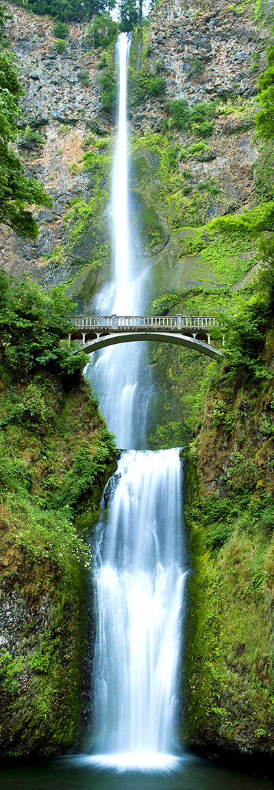 Canvas or Paper Print of Vertical Waterfall No.15 (Multnomah Falls in Columbia River Gorge National Scenic Area)