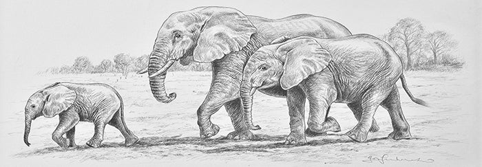 Canvas or Paper Print of Elephants By Jo Fredricks