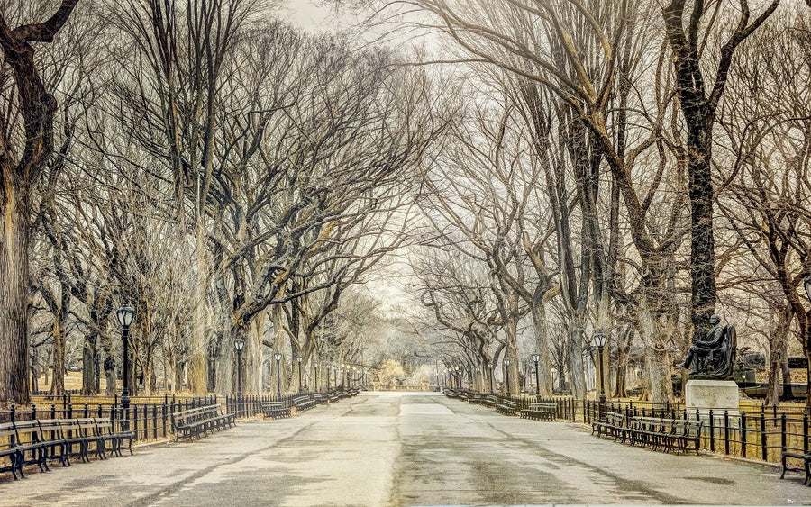 Canvas or Paper Print of Poet Walk No.4 (Central Park, New York )