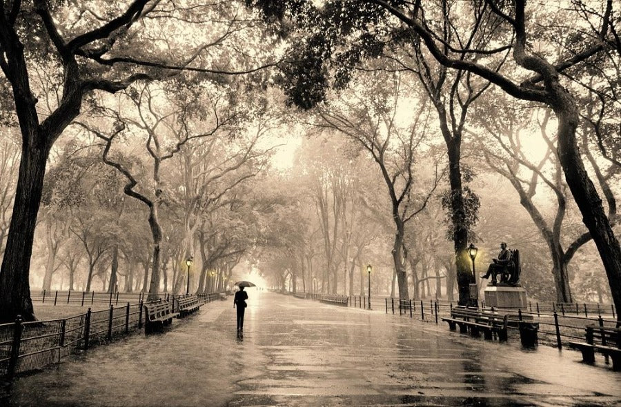 Canvas or Paper Print of Poet Walk Sepia (Central Park, New York ) No.2
