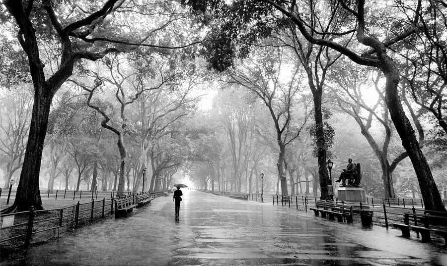 Canvas or Paper Print of Poet Walk (Central Park, New York ) No.1