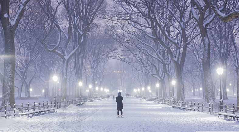 Canvas or Paper Print of Winter in Central Park, New York No.3