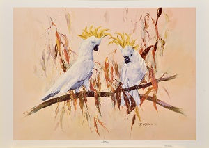 Framed Print of Cockatoo by Hanson