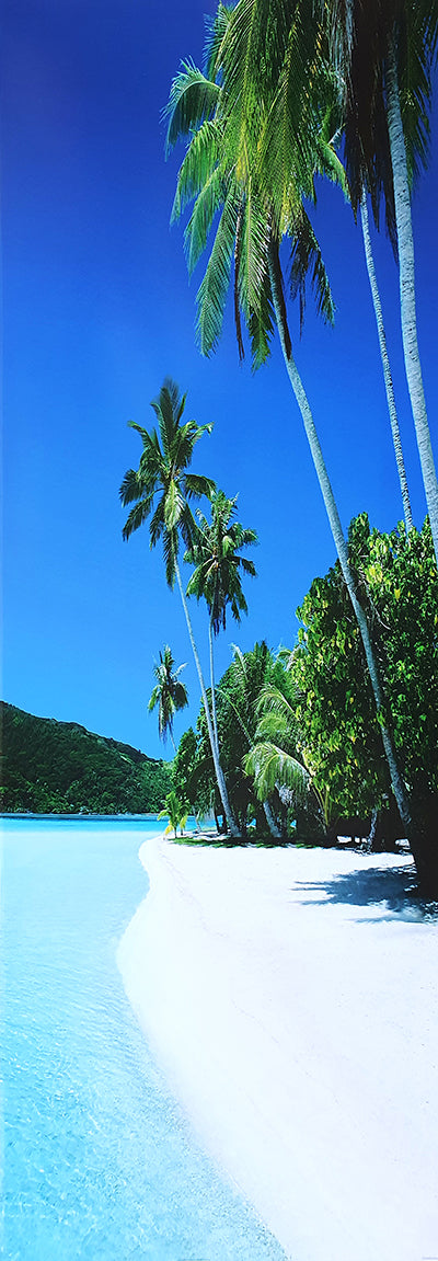 Canvas or Paper Print of Vertical Palm Tree Beach