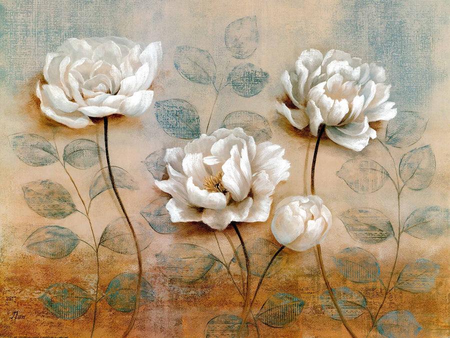 Canvas or Paper Print of White Flowers