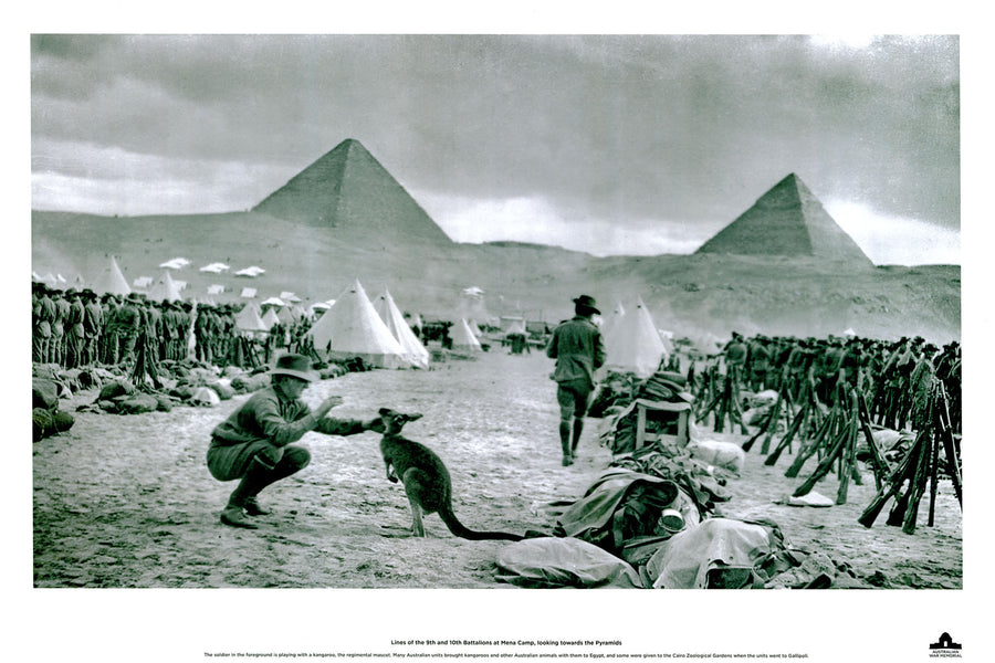 Canvas or Paper Print of ANZACs in Egypt