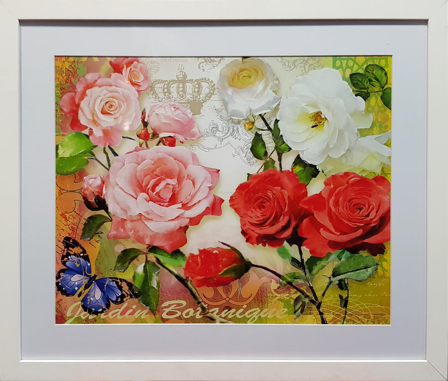 Framed Print of May Rose