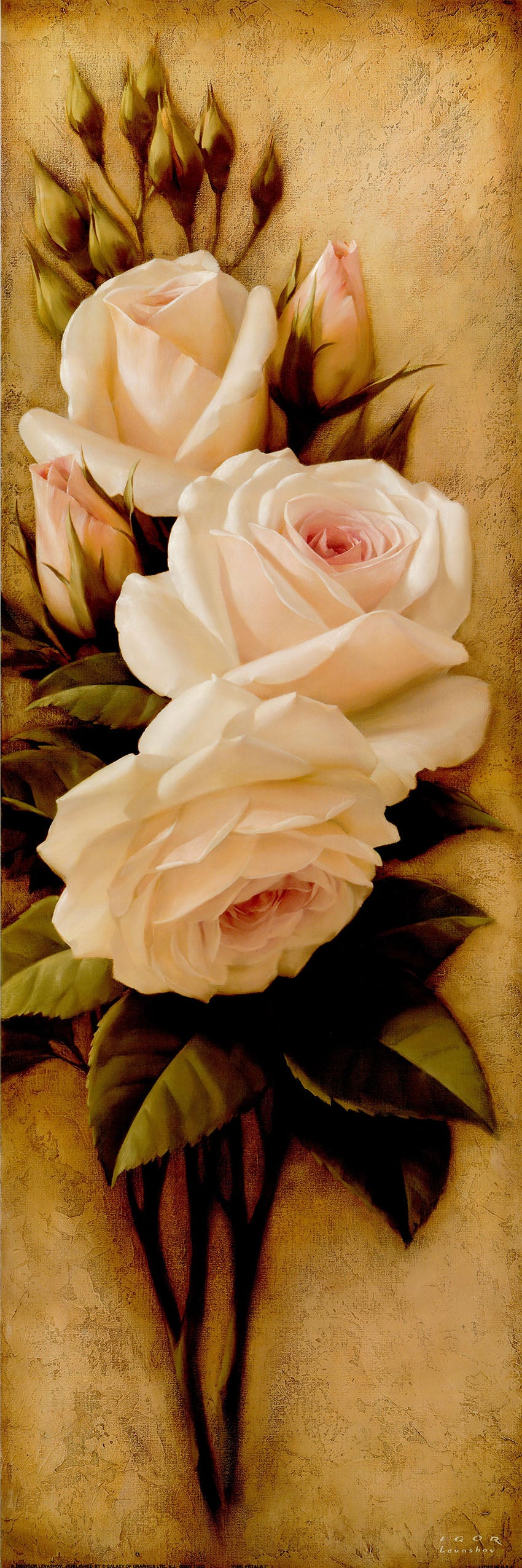 Canvas or Paper Print of Roses