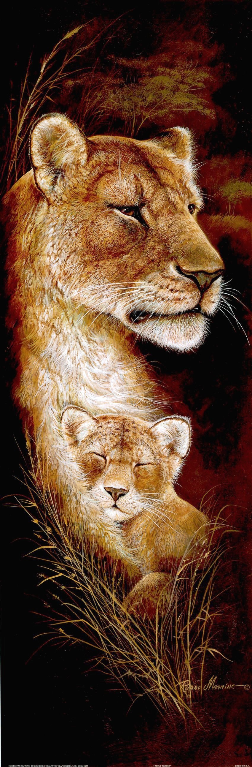 Canvas or Paper Print of Lions No.2