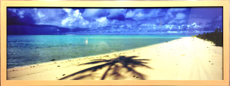 Framed Print of Palm on Beach