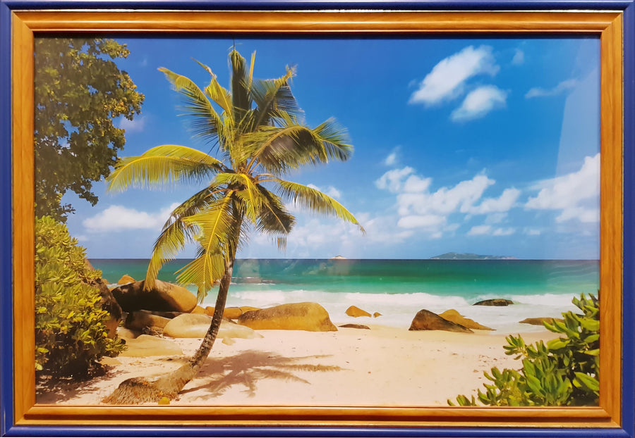 Framed Print of Palm and Rocks on Beach