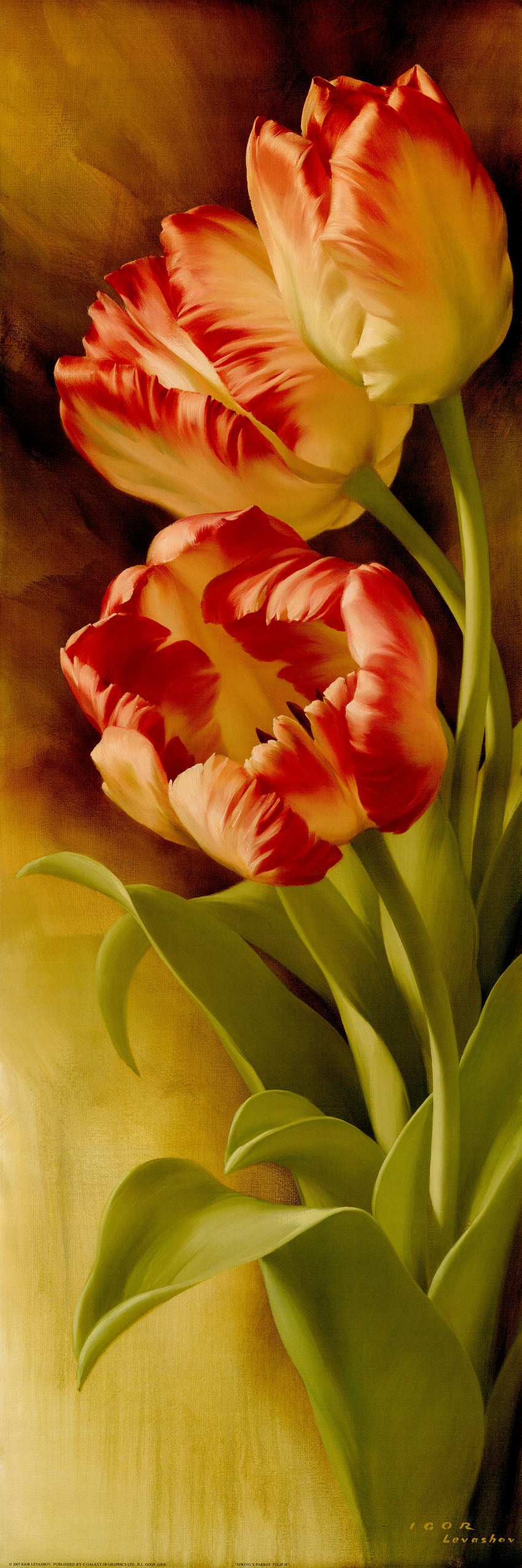 Canvas or Paper Print of Red Tulips No.1