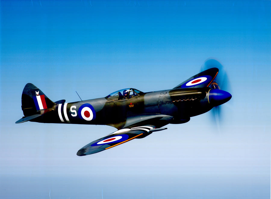 Canvas or Paper Print of Spitfire No.1