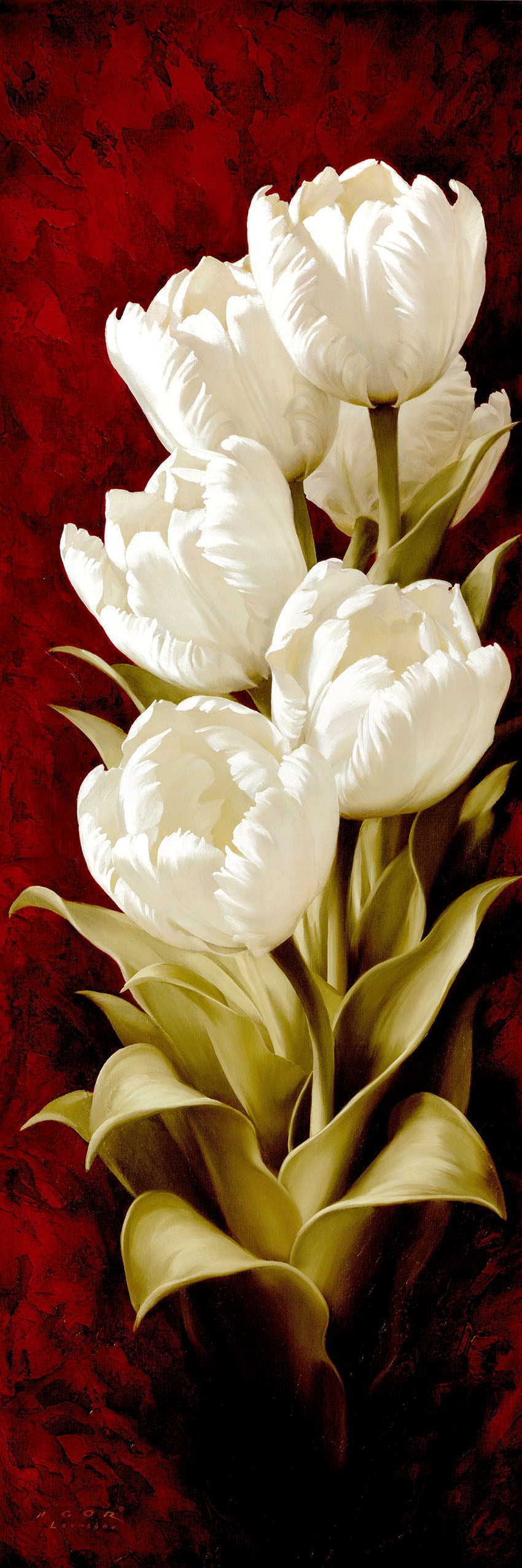Canvas or Paper Print of White Tulips No.1