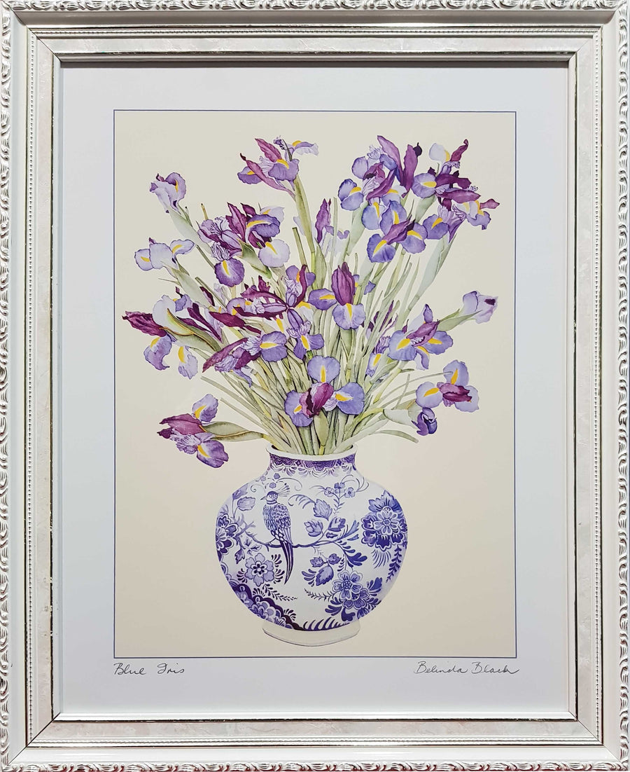 Framed Print of Irises in Vase