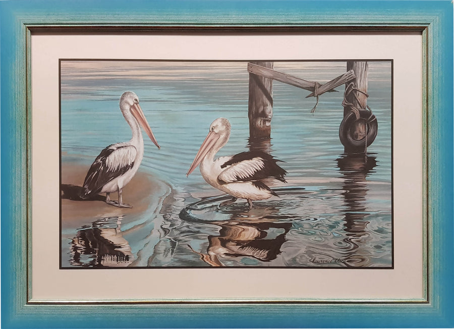 Framed Print of Pelicans Small
