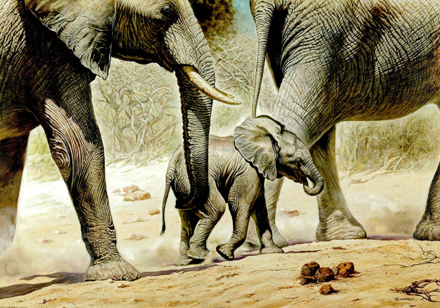 Canvas or Paper Print of Elephants