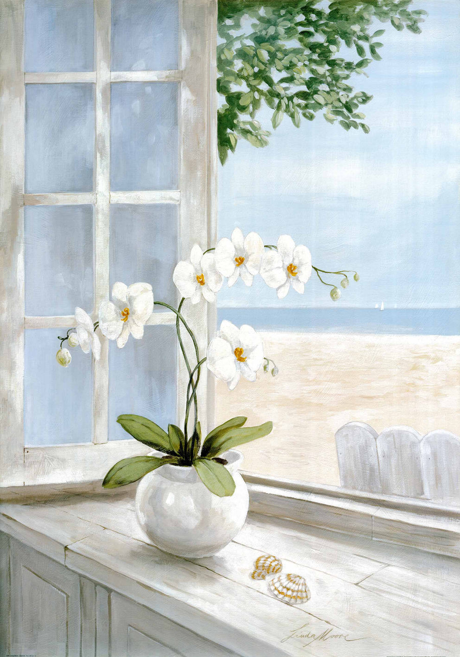 Canvas or Paper Print of Orchid Flowers by window No.2