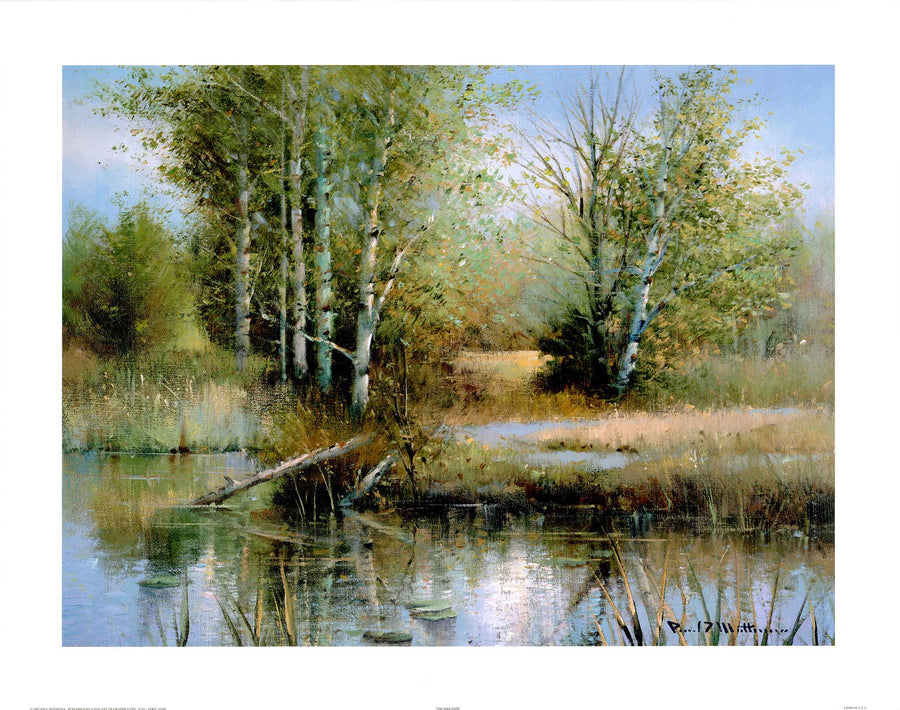 Canvas or Paper Print of Green Lake No.2