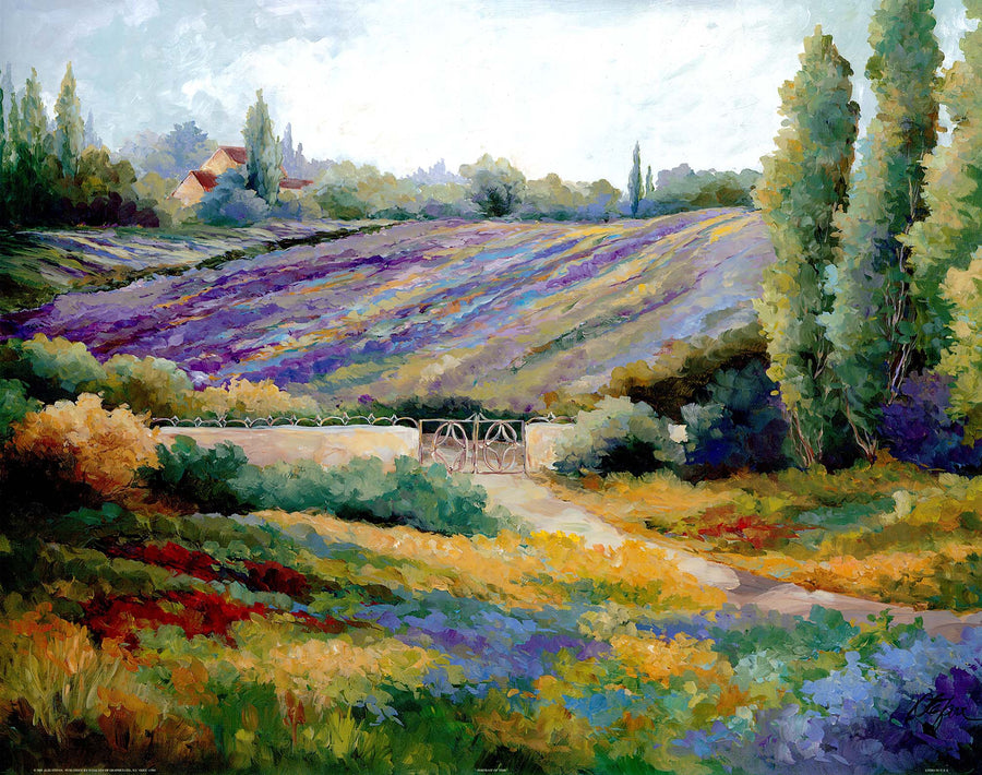 Canvas or Paper Print of Lavender Fields No.1