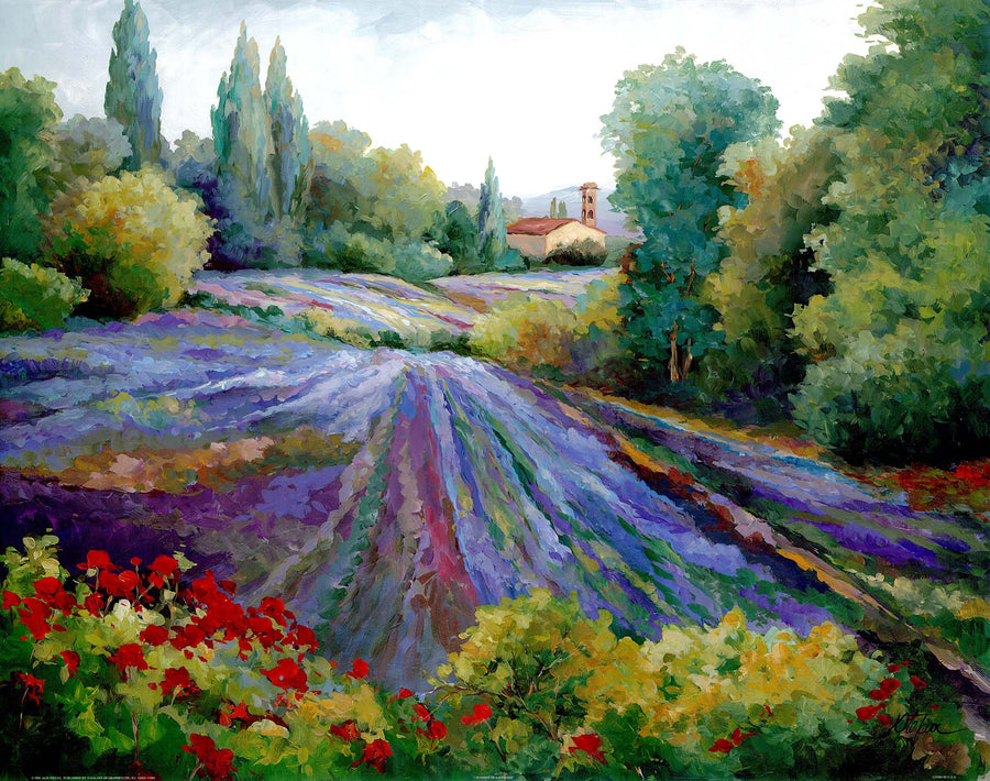 Canvas or Paper Print of Lavender Fields No.2