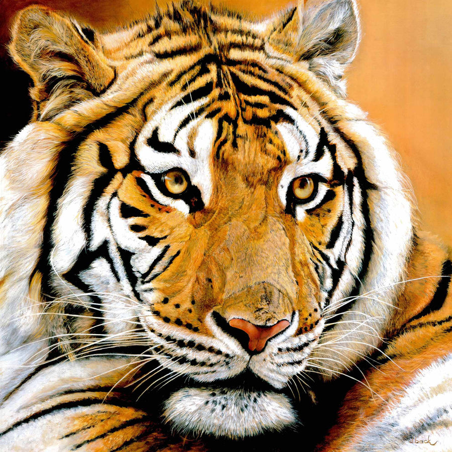 Canvas or Paper Print of Tiger No.5