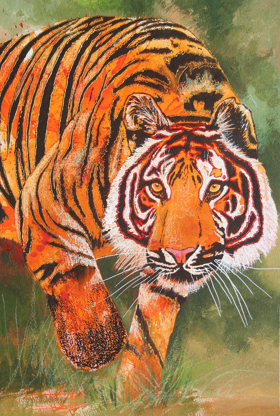 Canvas or Paper Print of Sudden Tiger
