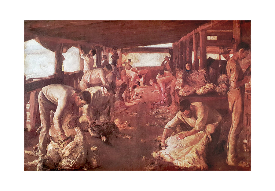 Canvas or Paper Print of Sheep Shearing No.1